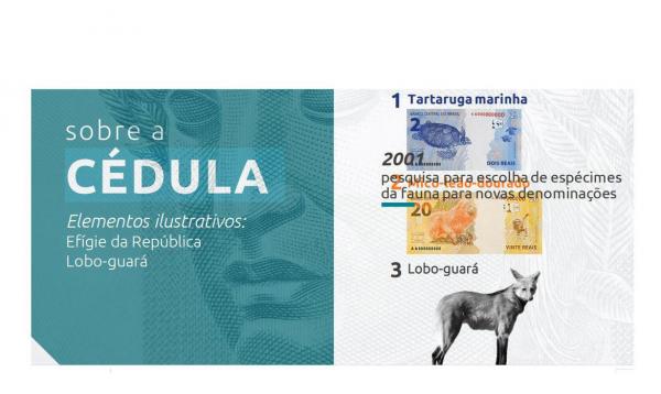 Nova nota de R$ 200 entra em circulação nesta quarta-feira (2) 