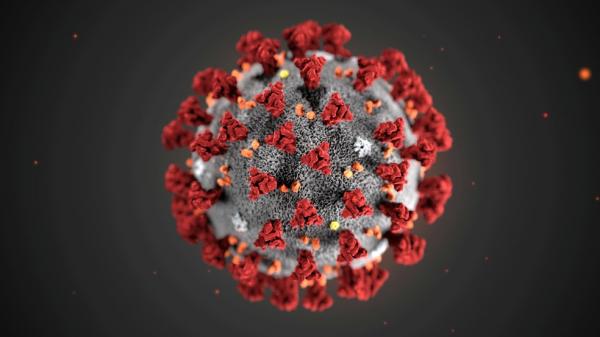 Governo de SP confirma 2 casos de nova variante do coronavírus