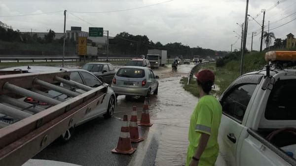 Temporal provoca quedas de árvores e alagamentos em Cajamar 