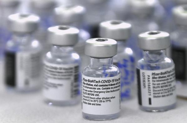 Brasil recebe primeiro lote de vacinas da Pfizer nesta quinta-feira 