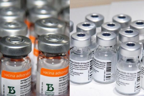 Ministério da Saúde recebe novos lotes das vacinas  contra a Covid-19 CoronaVac e Pfizer 