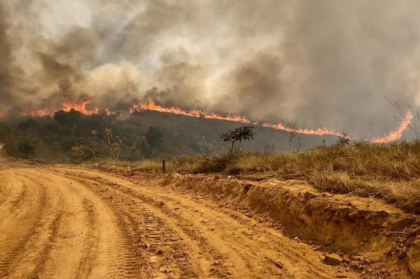 Bombeiros seguem combatendo incêndio no Parque do Juquery em Franco da Rocha