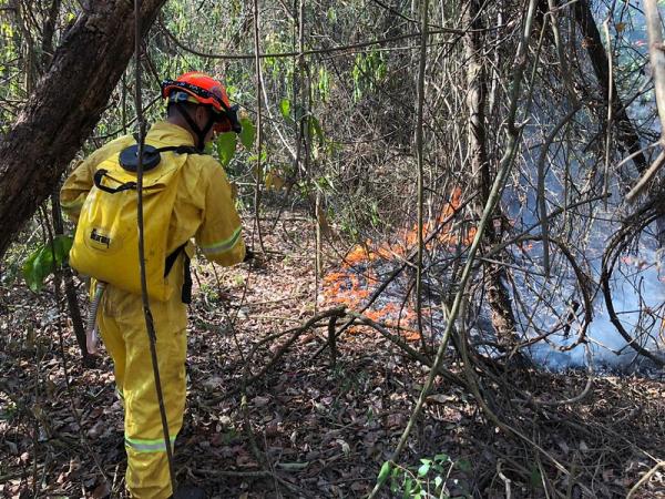 Defesa Civil alerta para risco de incêndio em razão das altas temperaturas