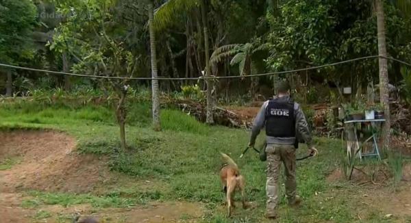 Homem mata três pessoas e fere duas em ataque na zona rural de Mairiporã