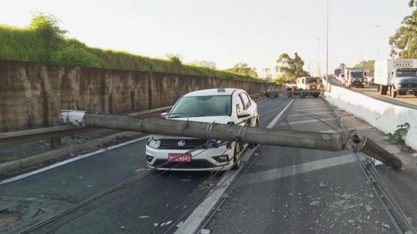 Árvore cai na Marginal Pinheiros e derruba sete postes