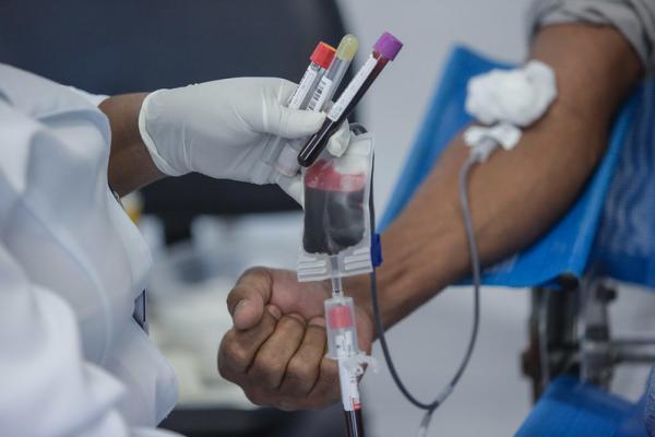 Estoque de bancos de sangue de São Paulo está crítico