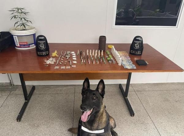 Cão da Guarda Civil de Cajamar encontra entorpecentes em operação