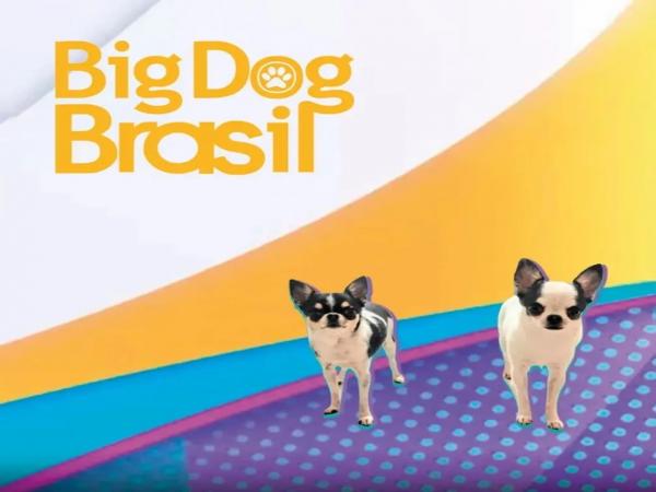 Programa de adoção de cães inspirado no BBB 