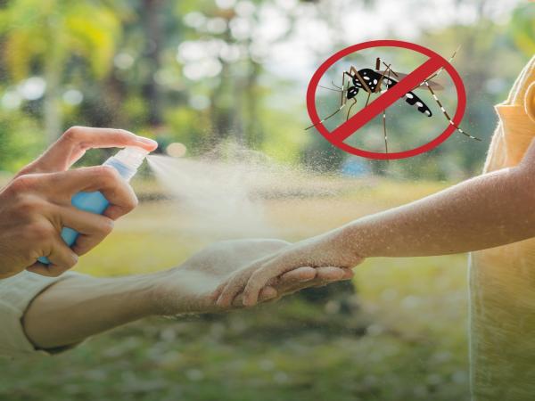 Acompanhe lista de Repelentes recomendados no combate a dengue e outros insetos 