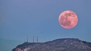 Lua cheia rosa poderá ser vista nesta terça-feira no Brasil 