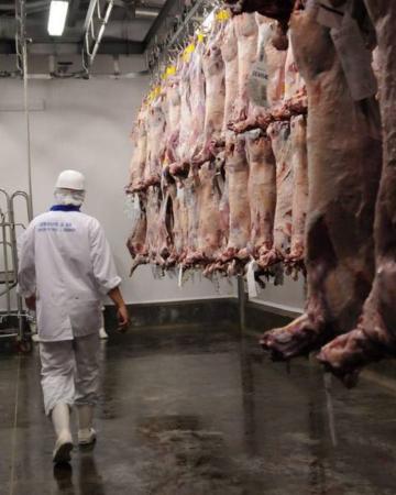 Exportações de carne de MS para os EUA param após tarifa surrpresa de TRUMP! 