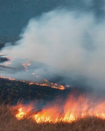Incêndio no Paraná provoca Apagão em todo Brasil 
