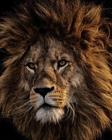 Prazo para declarar imposto de renda vai até 29 de maio de 2026