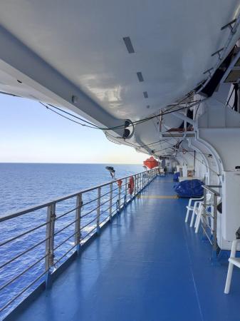 OMS descarta risco de grande surto após casos de hantavírus em navio de cruzeiro