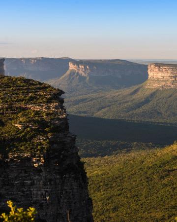 Cidade mais fria do Nordeste atrai turistas com baixas temperaturas e cafés premiados