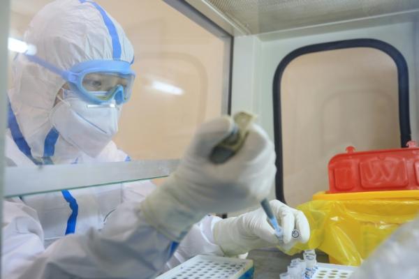 Vacina contra coronavírus deve demorar mais de um ano para ser desenvolvida, afirma OMS